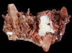 Natural Red Quartz Crystals - Morocco #51841-1